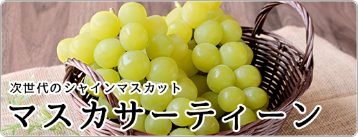 冷凍いちご